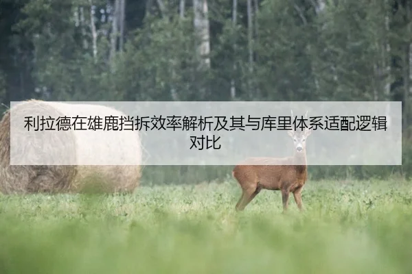 利拉德在雄鹿挡拆效率解析及其与库里体系适配逻辑对比